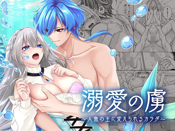 D 324555pl