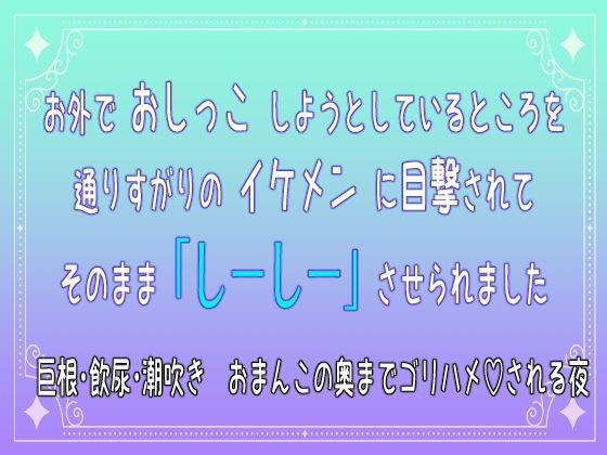 D 733063pl