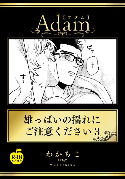 K972abrhs01829pl