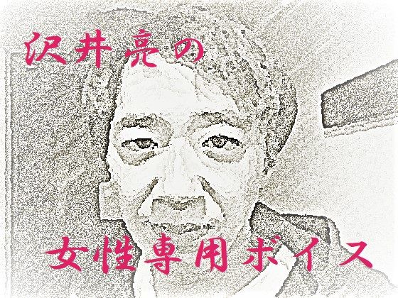 D 203978pl