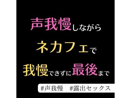 D 274356pl