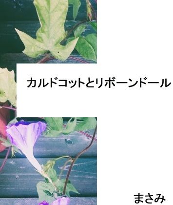 D 275542pl