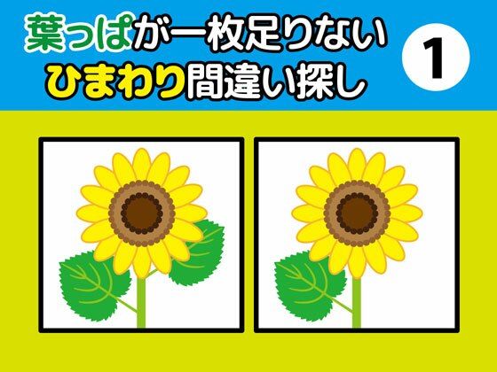 D 337604pl