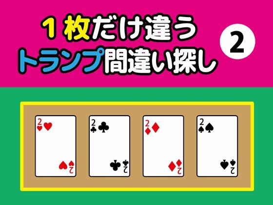 D 363355pl