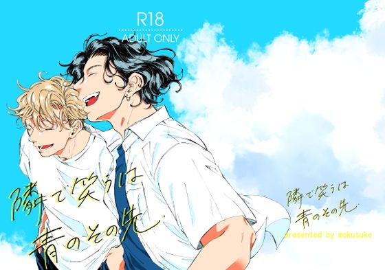 D 403805pl