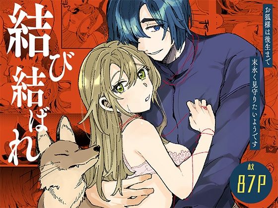 D 505228pl