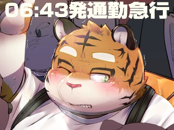 D 513471pl