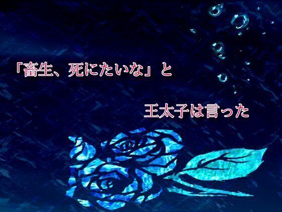 D 549289pl