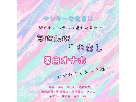 D 558293pl