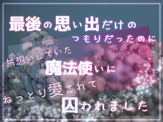 D 608566pl