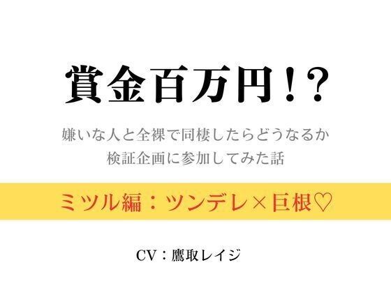 D 625334pl