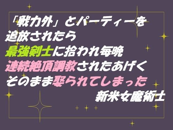 D 678393pl