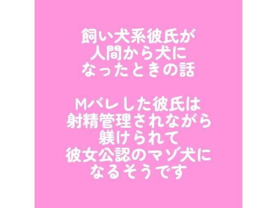 D 710574pl