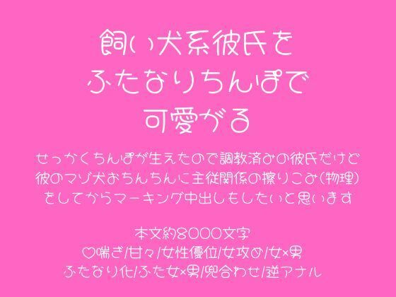 D 713208pl