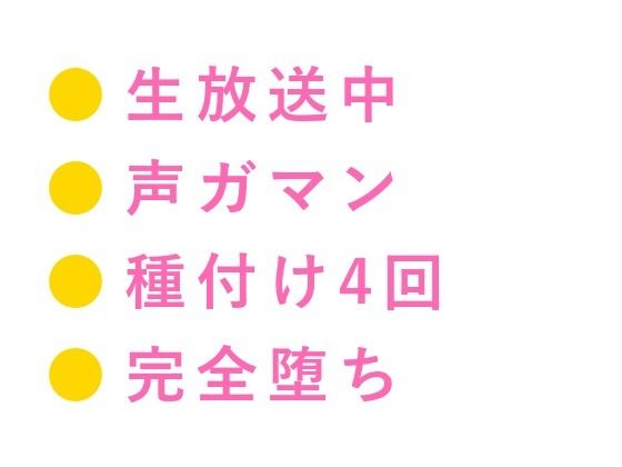 D 734787pl